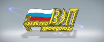 Отчётно-выборная кампания в территориальных организациях ВЭП завершена