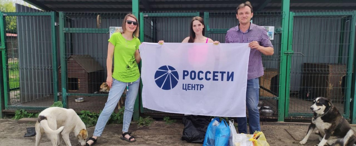Четвероногие друзья из приюта «Право жить» получили помощь от курских энергетиков