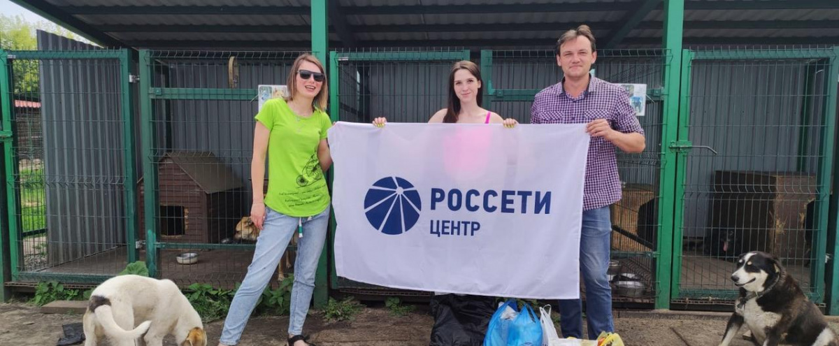 Четвероногие друзья из приюта «Право жить» получили помощь от курских энергетиков